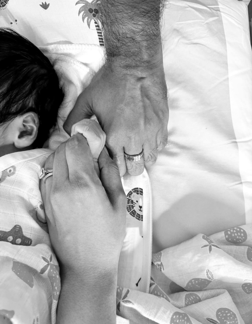 月举行的W 月举行的W